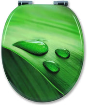 Abattant WC antibactérien vert feuillage descente progressive - La Boutique Des Toilettes 