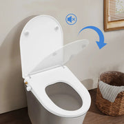 Abattant WC Ovale Réglable Blanc, 2 Modes Lavage - La Boutique Des Toilettes 