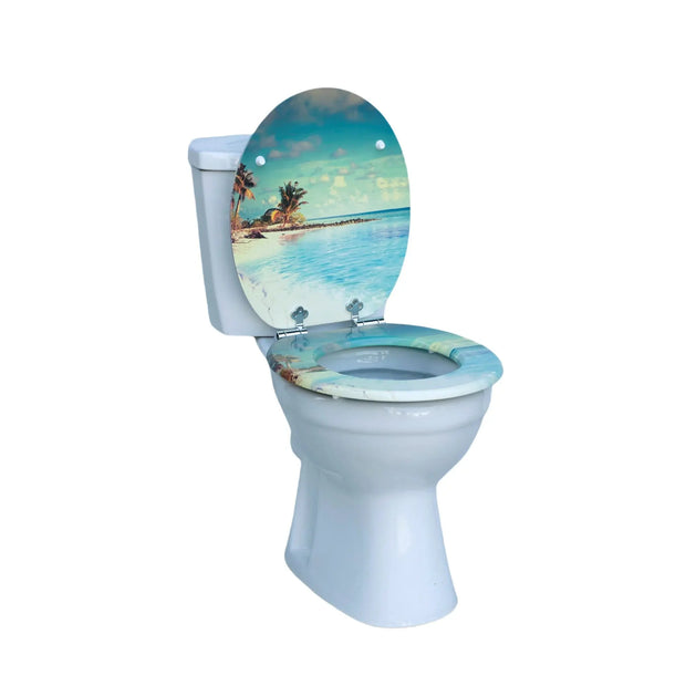 Abattant WC soft close blanc à descente progressive - La Boutique Des Toilettes 