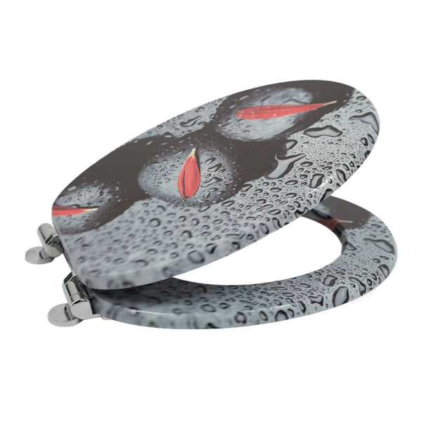 Abattant WC avec frein de chute et fermeture douce - La Boutique Des Toilettes 